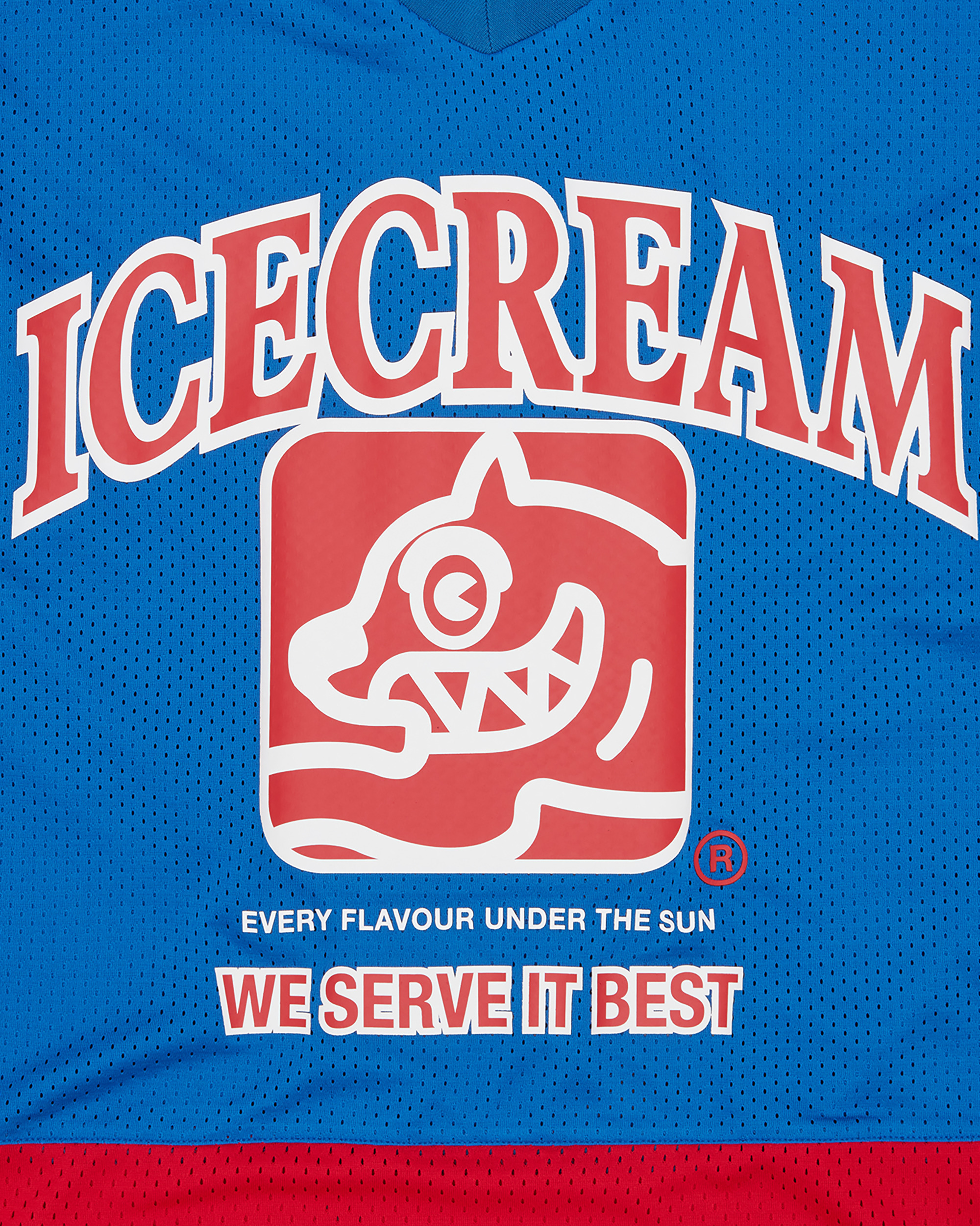 TEAM HOCKEY SHIRT - 3