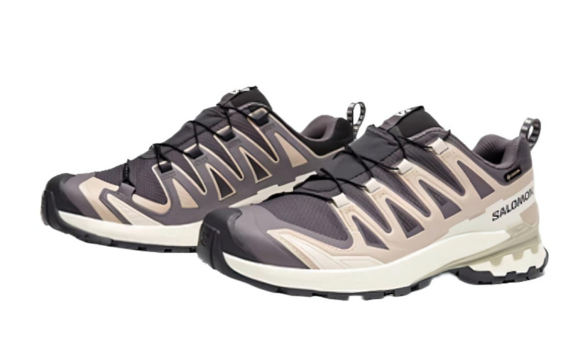 SALOMON Salomon XA Pro 3D V9 GTX 'Dark Grey Beige' 477447 outlook