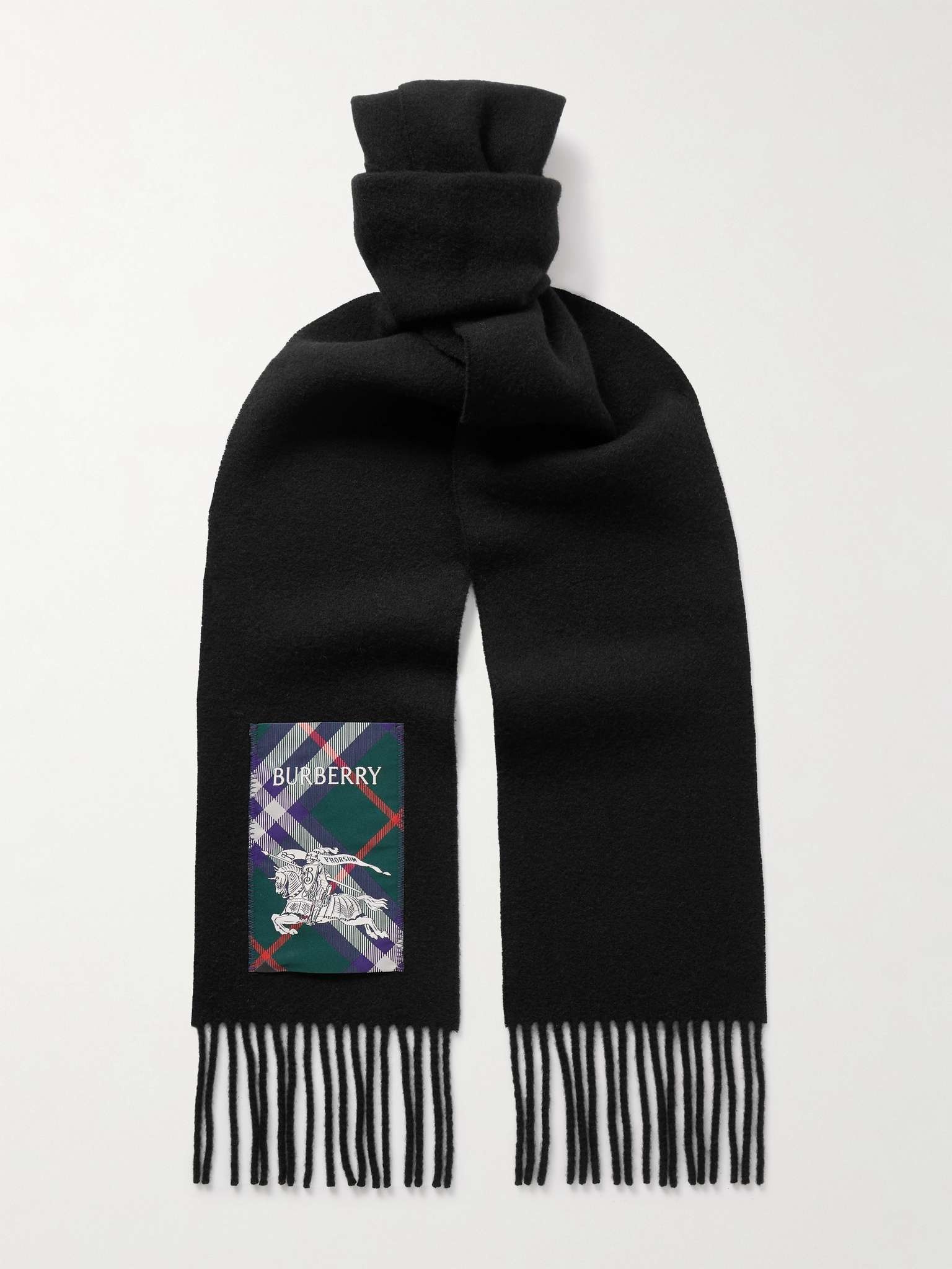 Fringed Appliquéd Cashmere Scarf - 1
