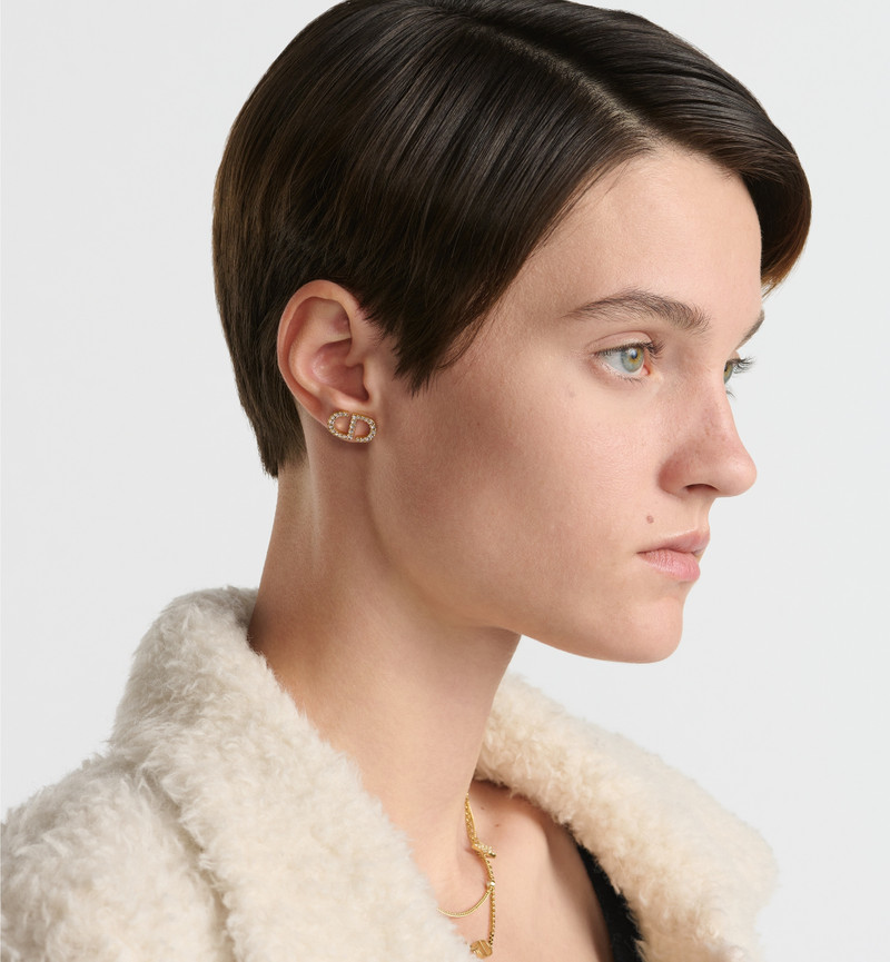 Dior Petit CD Stud Earrings outlook