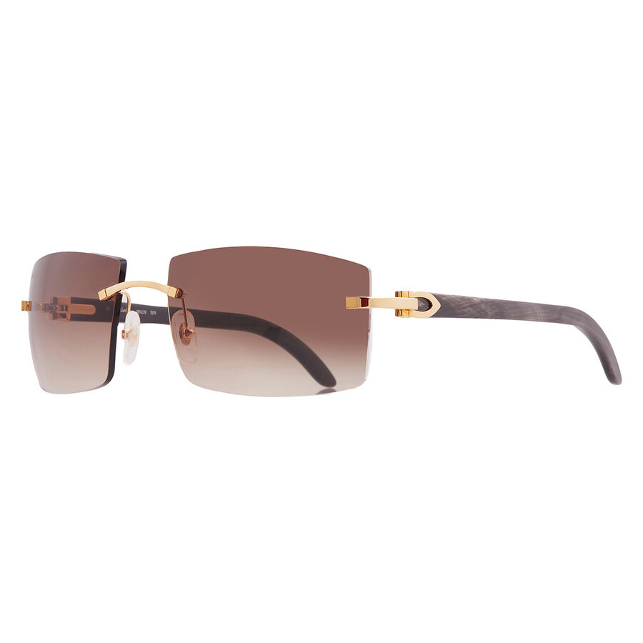 Cartier C Decor Brown Multi Treatment Rectangular Men's Sunglasses CT0021RS 001 59 - 2