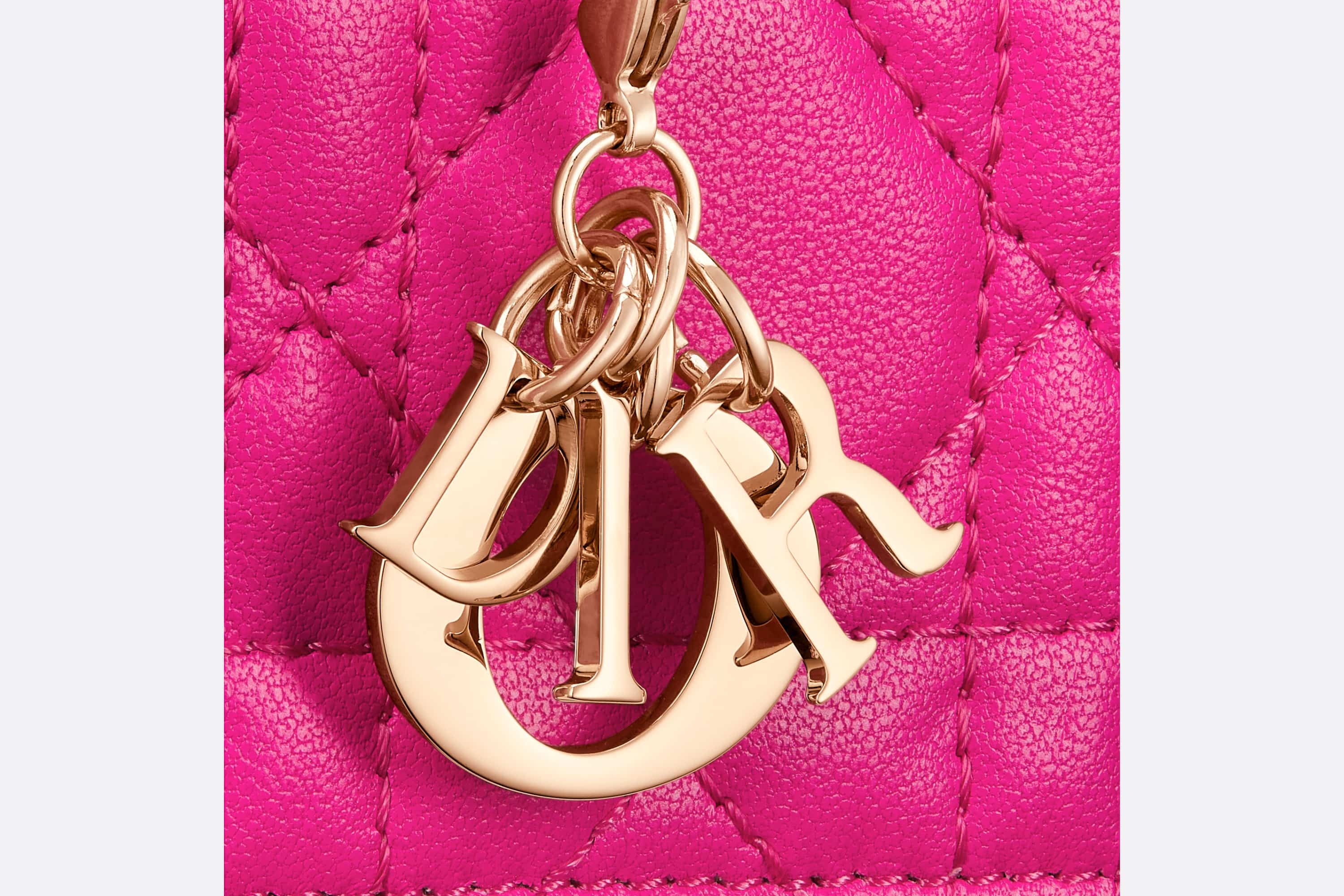 Lady Dior 5-Gusset Card Holder - 5