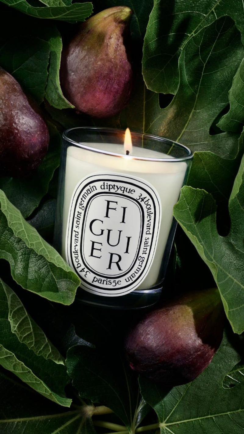 Figuier (Fig Tree) - Classic Candle 5