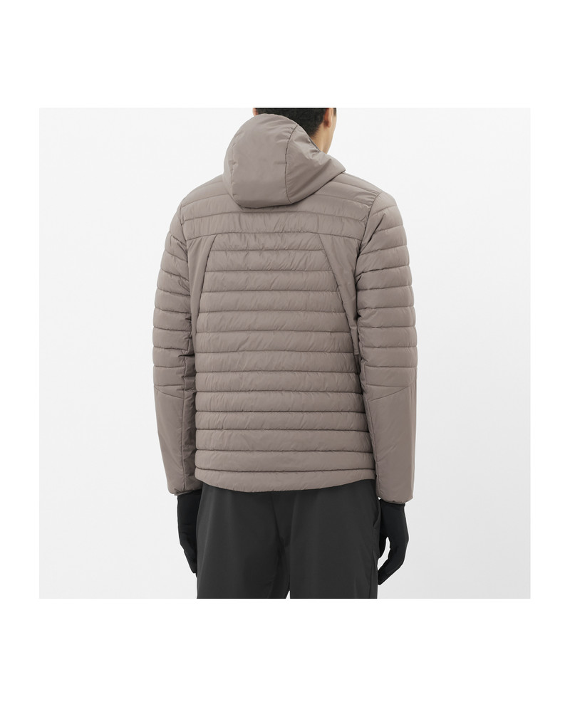 SALOMON RFLX outlook