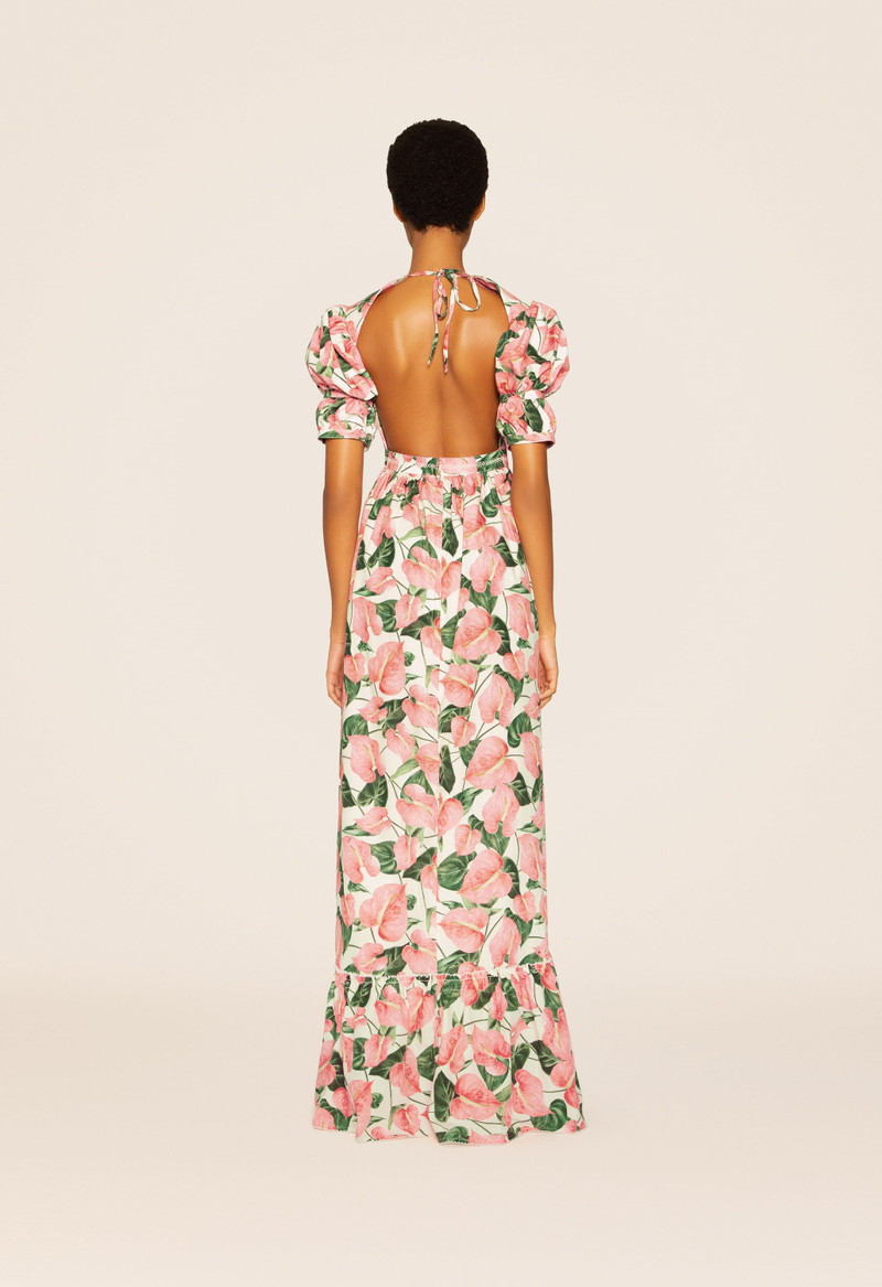 Amapola Anturios Maxi Dress 5