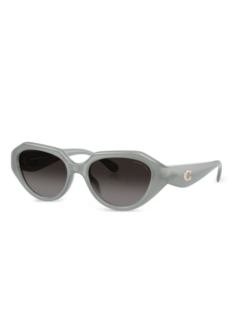 COACH cat-eye frame sunglasses outlook
