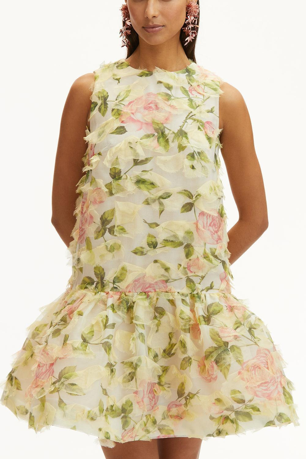 Sleeveless English Rose Dress - 4