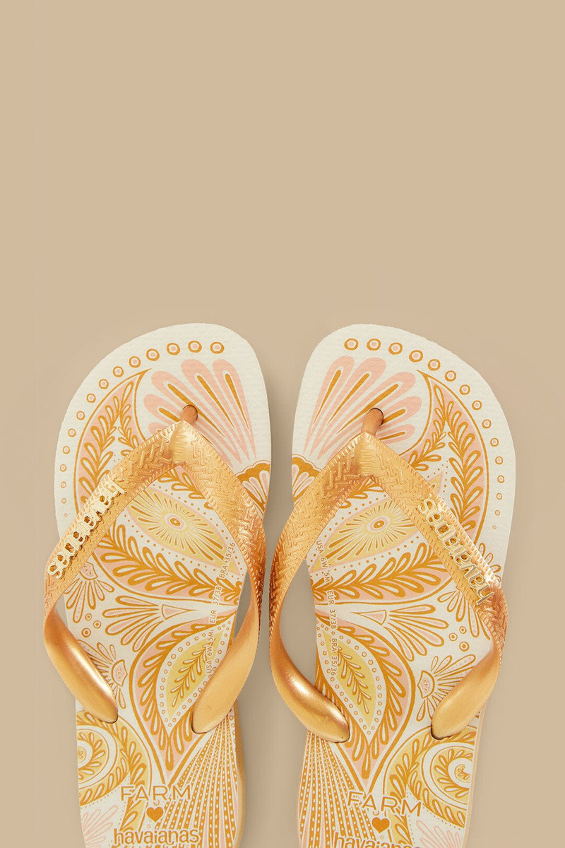 Papillon Havaianas 3