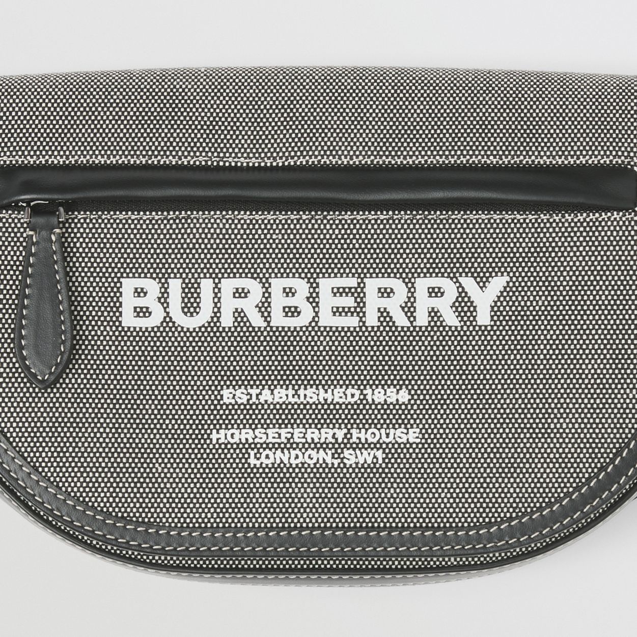 Small Horseferry Print Canvas Olympia Bum Bag - 2