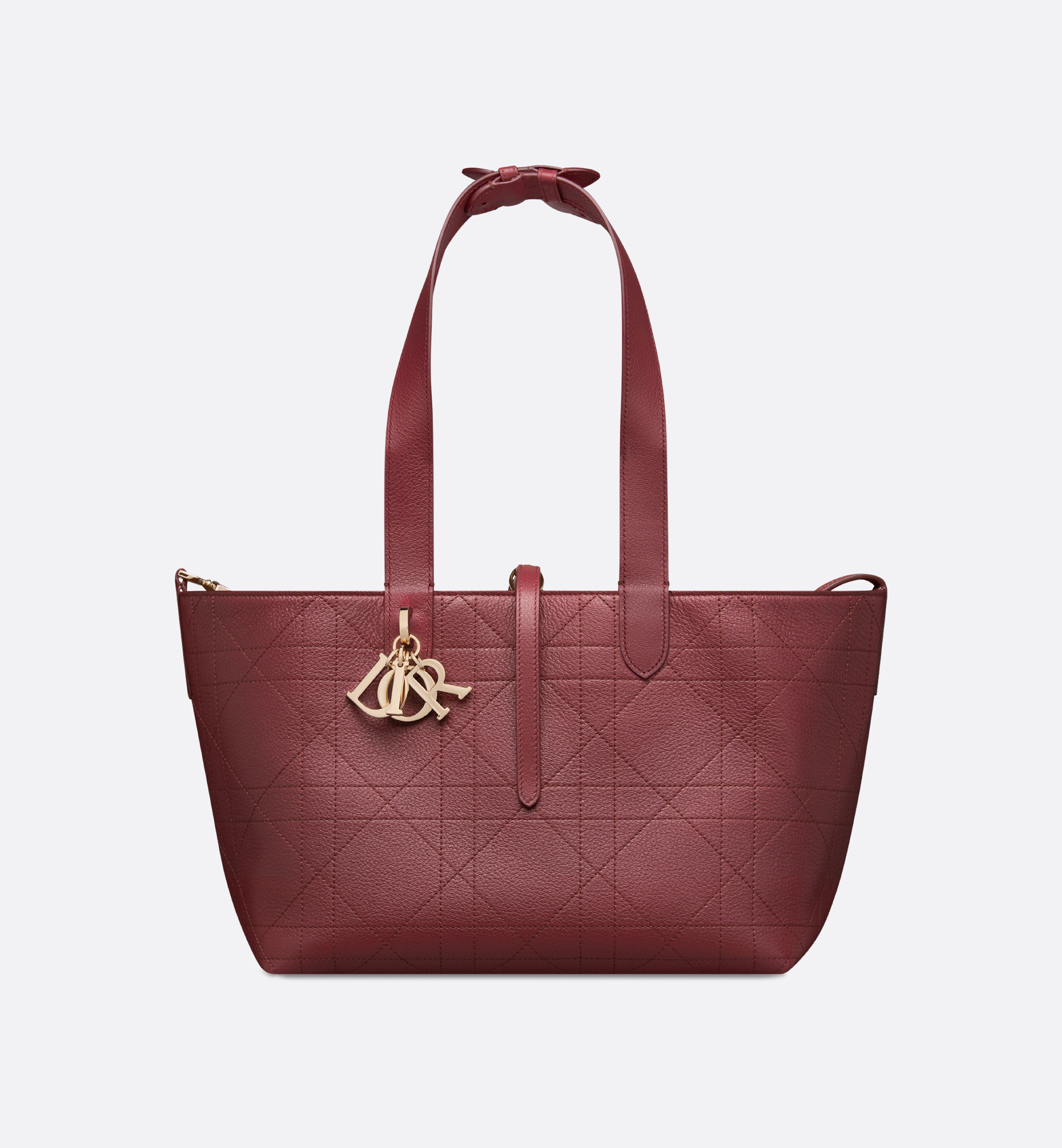 Medium Dior Toujours Bag - 5