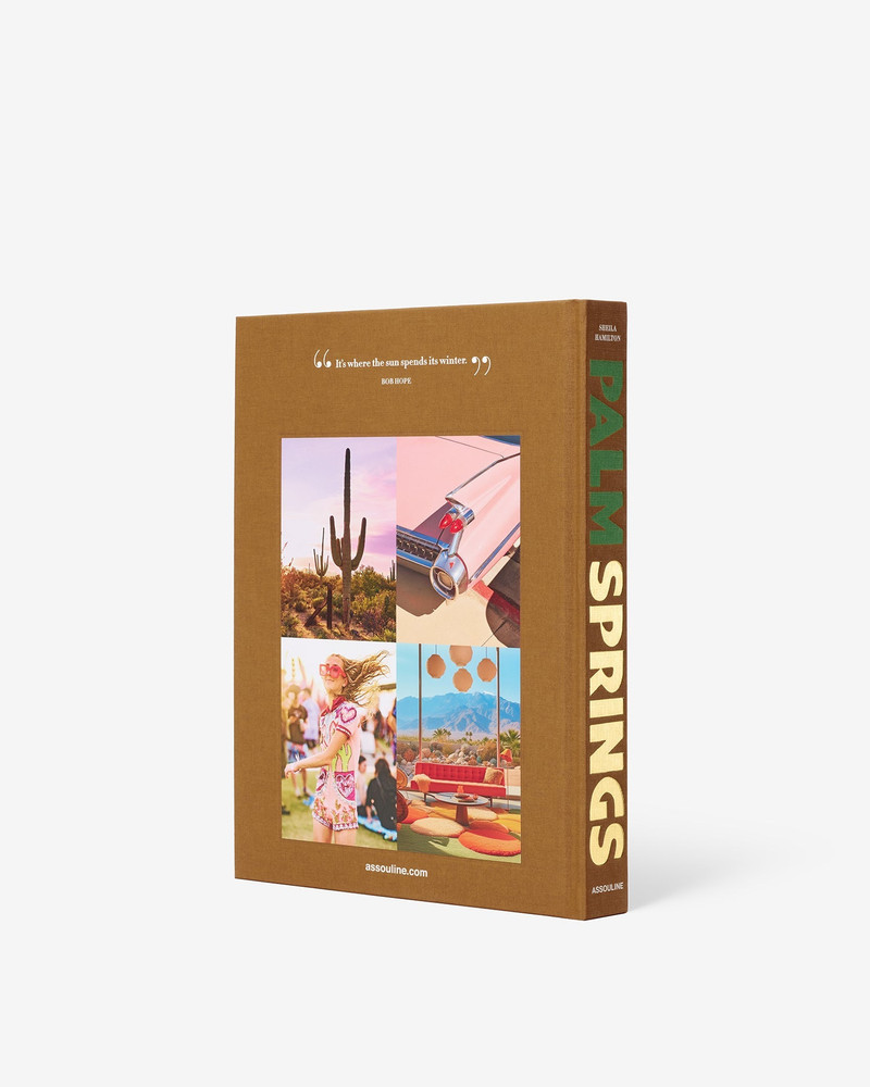 ASSOULINE Palm Springs outlook