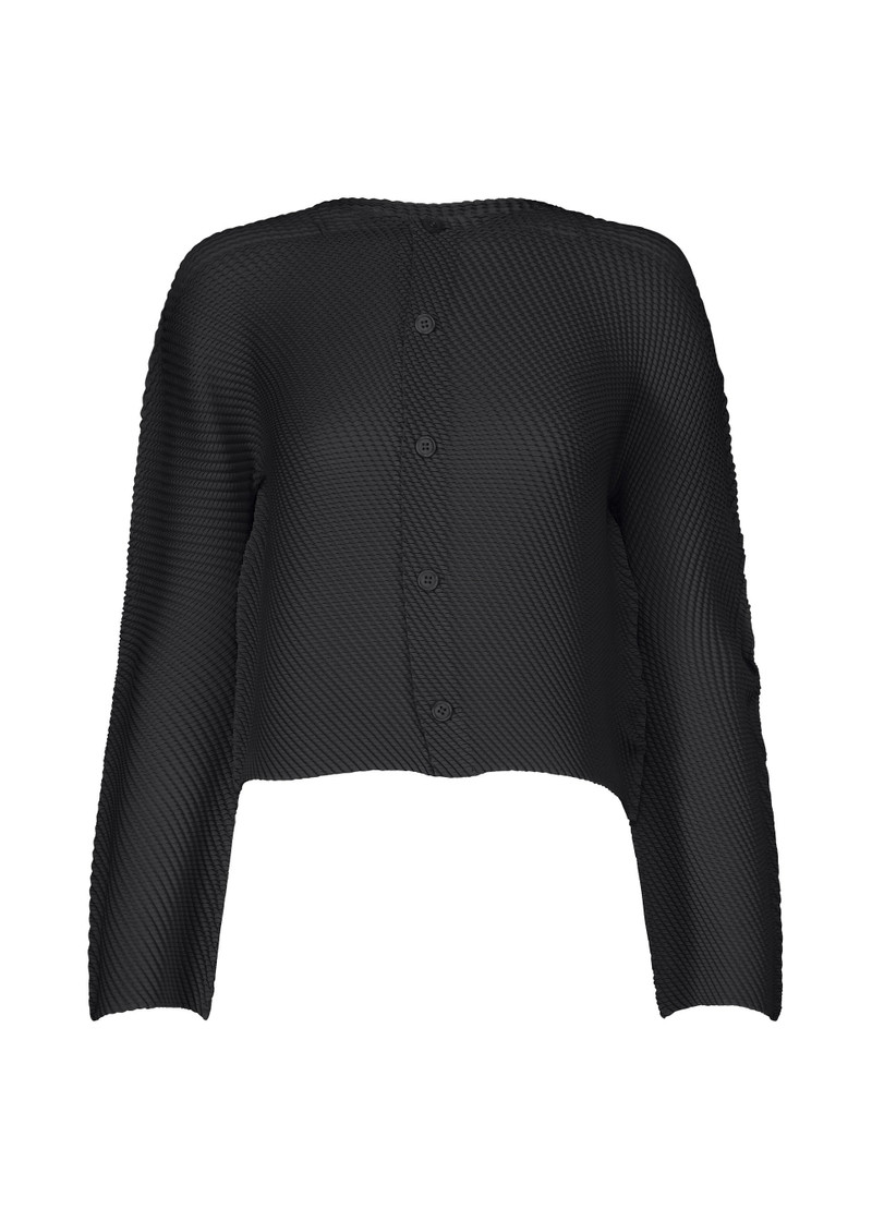 SHIFTED MISTY PLEATS 1