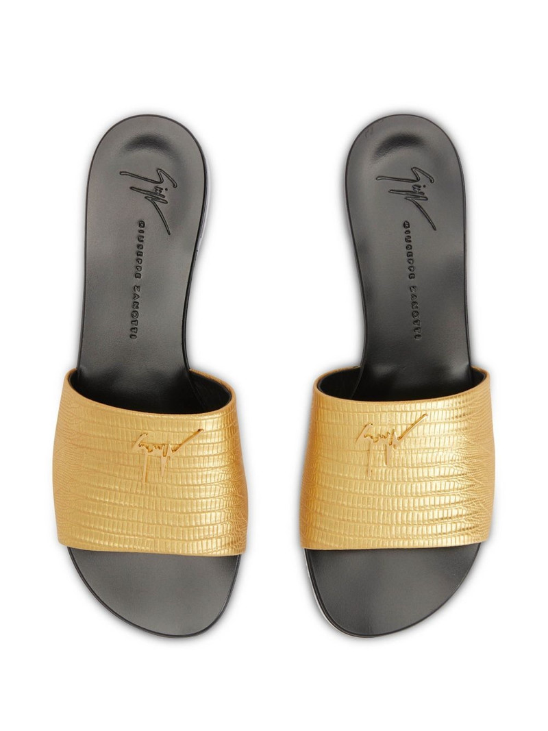 Shirley slides 4