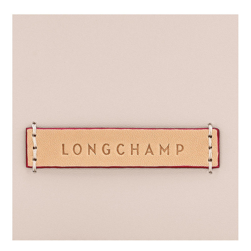 Le Pliage Xtra XS Tote bag Paper - Leather 3