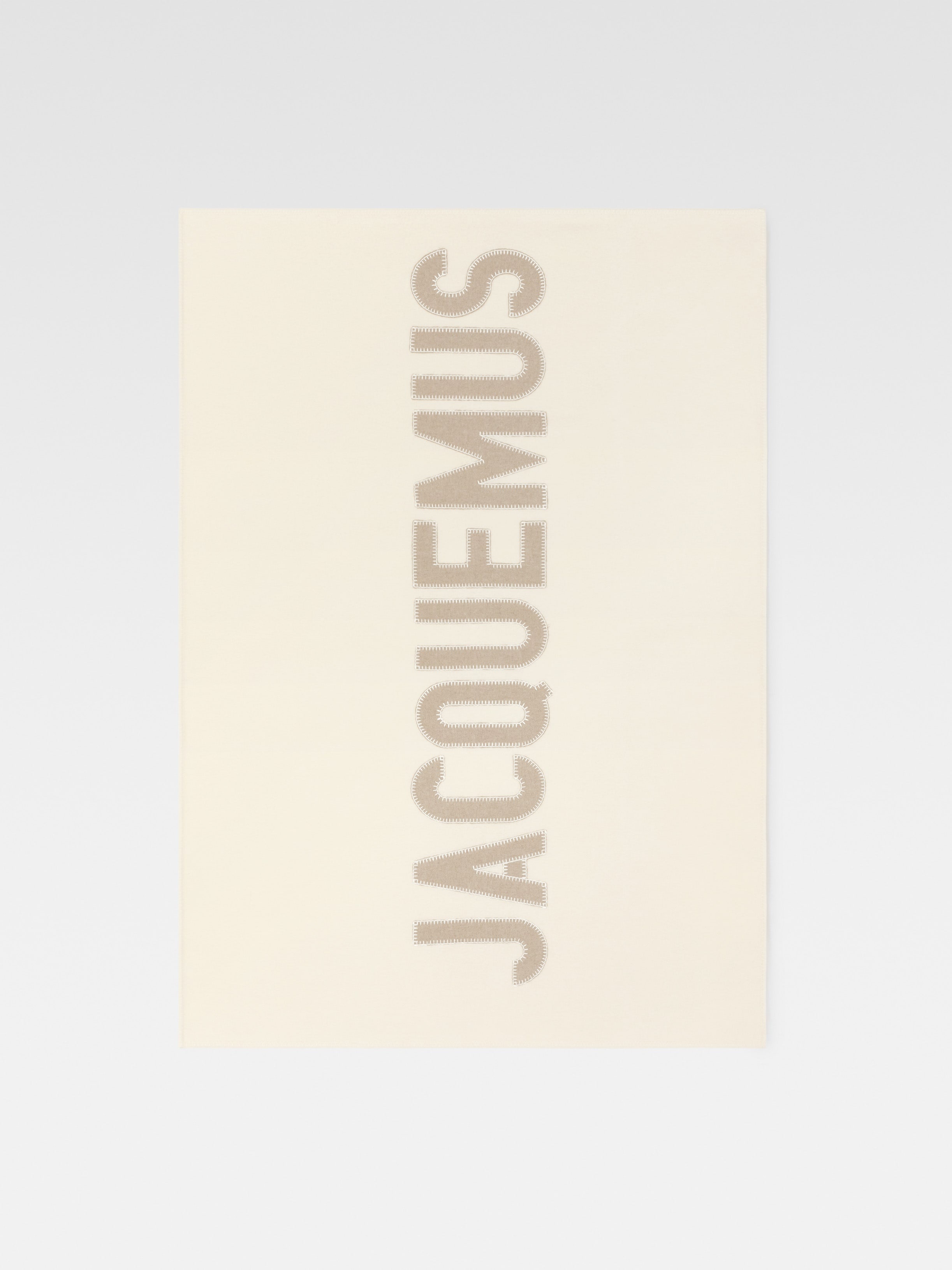 The embroidered Jacquemus plaid - 2