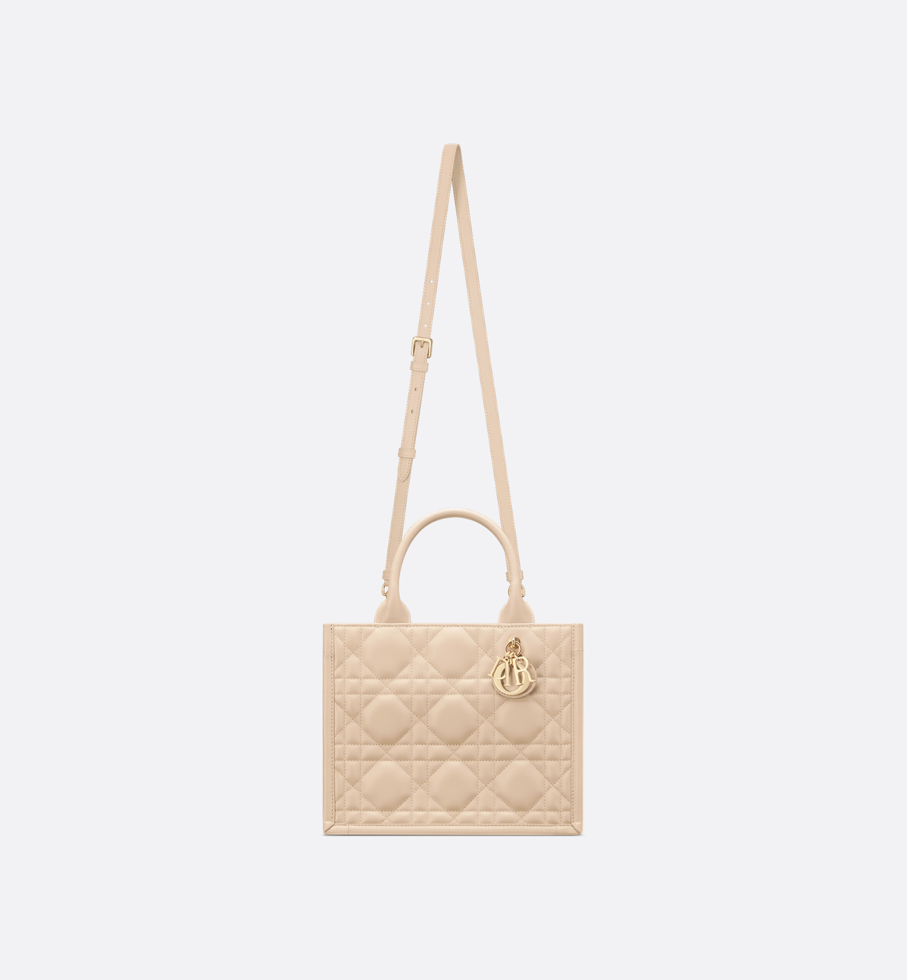 Small Dior Book Tote - 6
