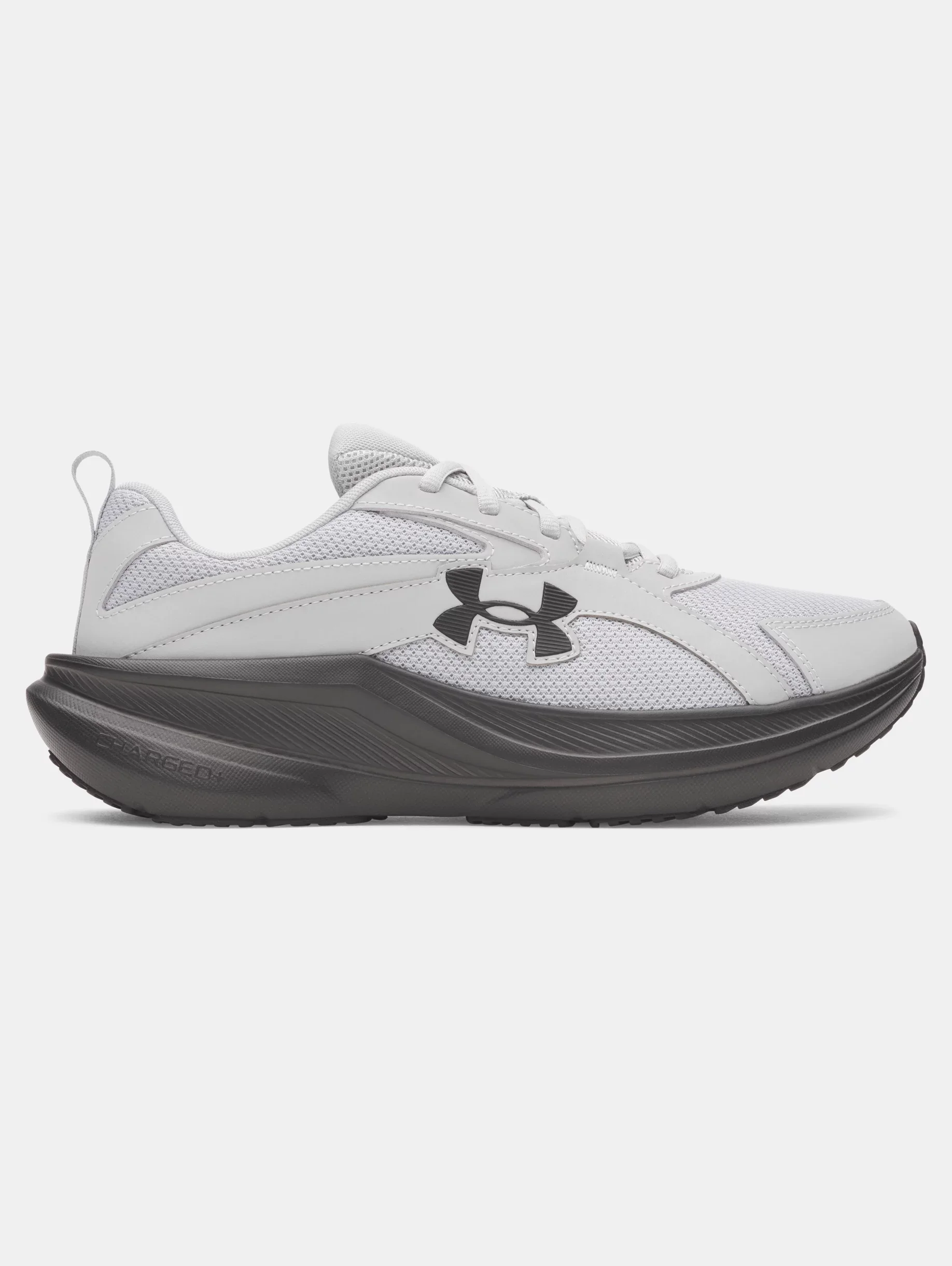 UA Assert 11 - 1