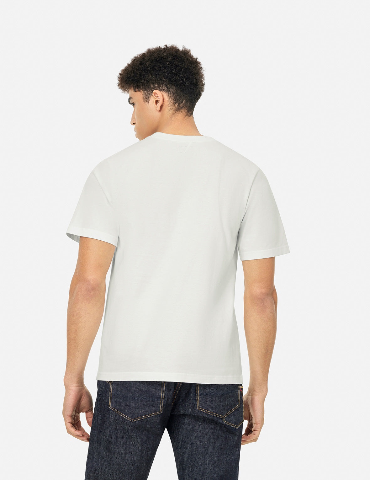 Seagull and Brand Logo Print Regular Fit T-shirt - 6