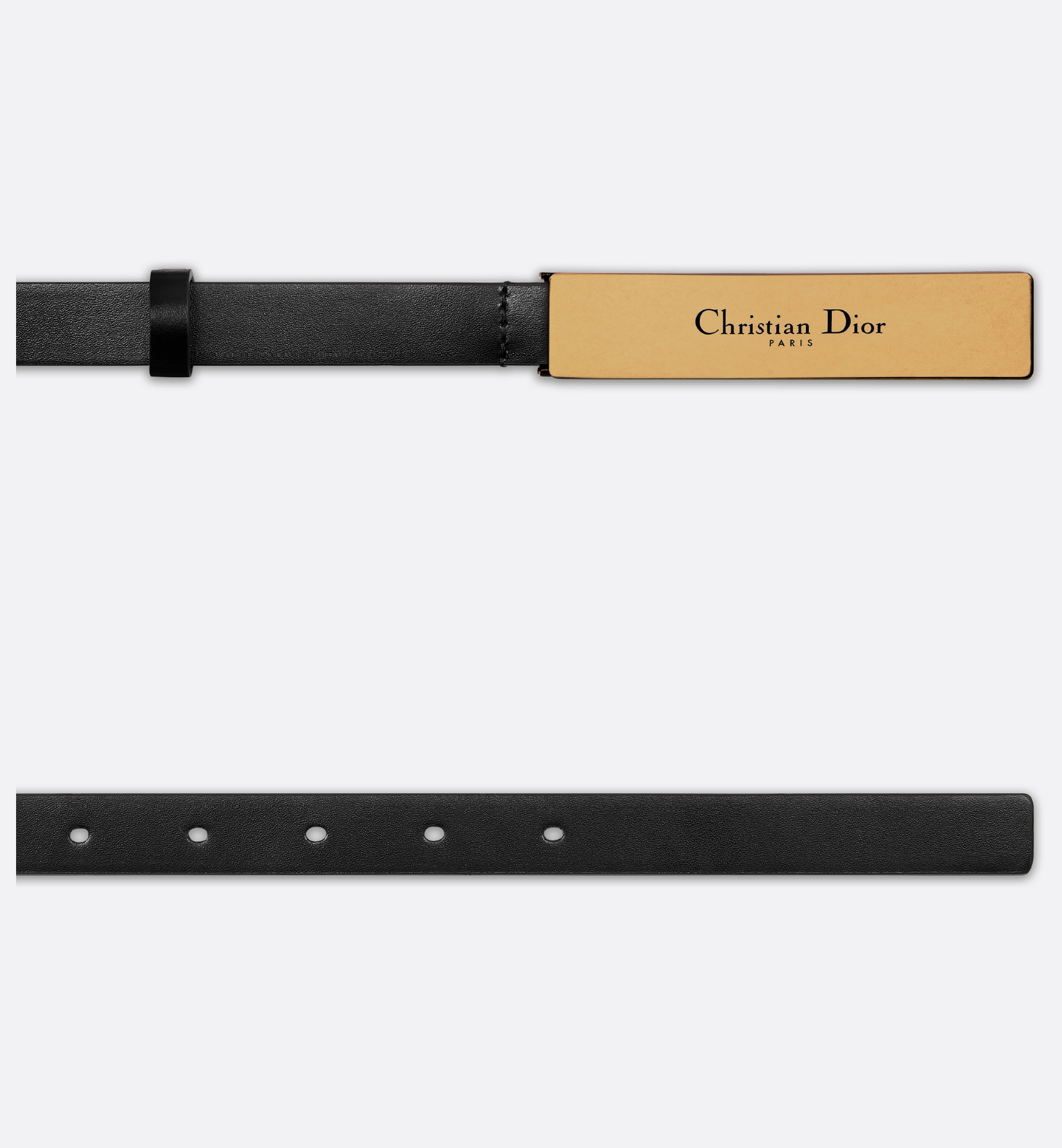 Dior Icon Belt - 4