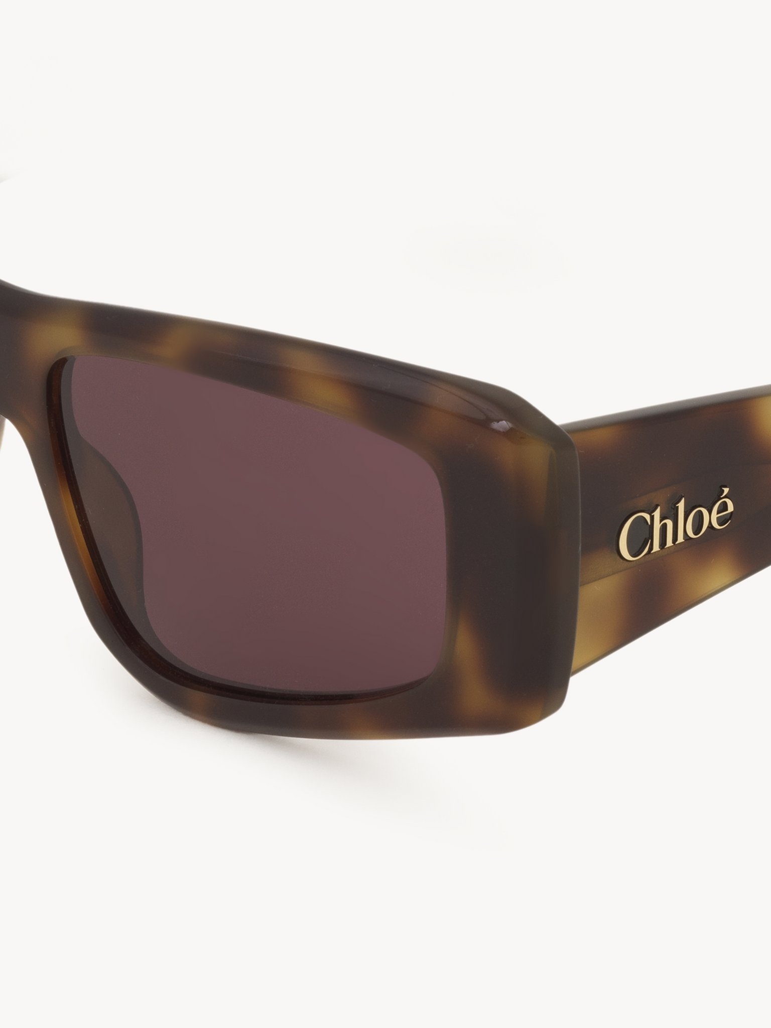 IZIA SUNGLASSES - 4