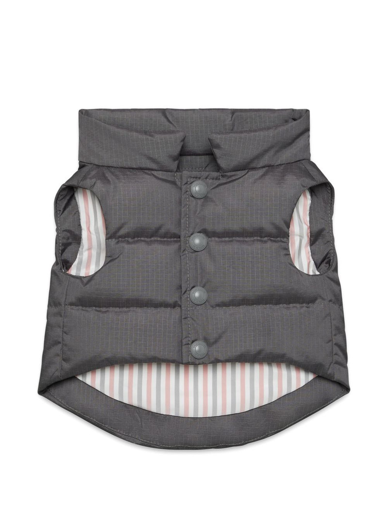 striped football dog vest 1
