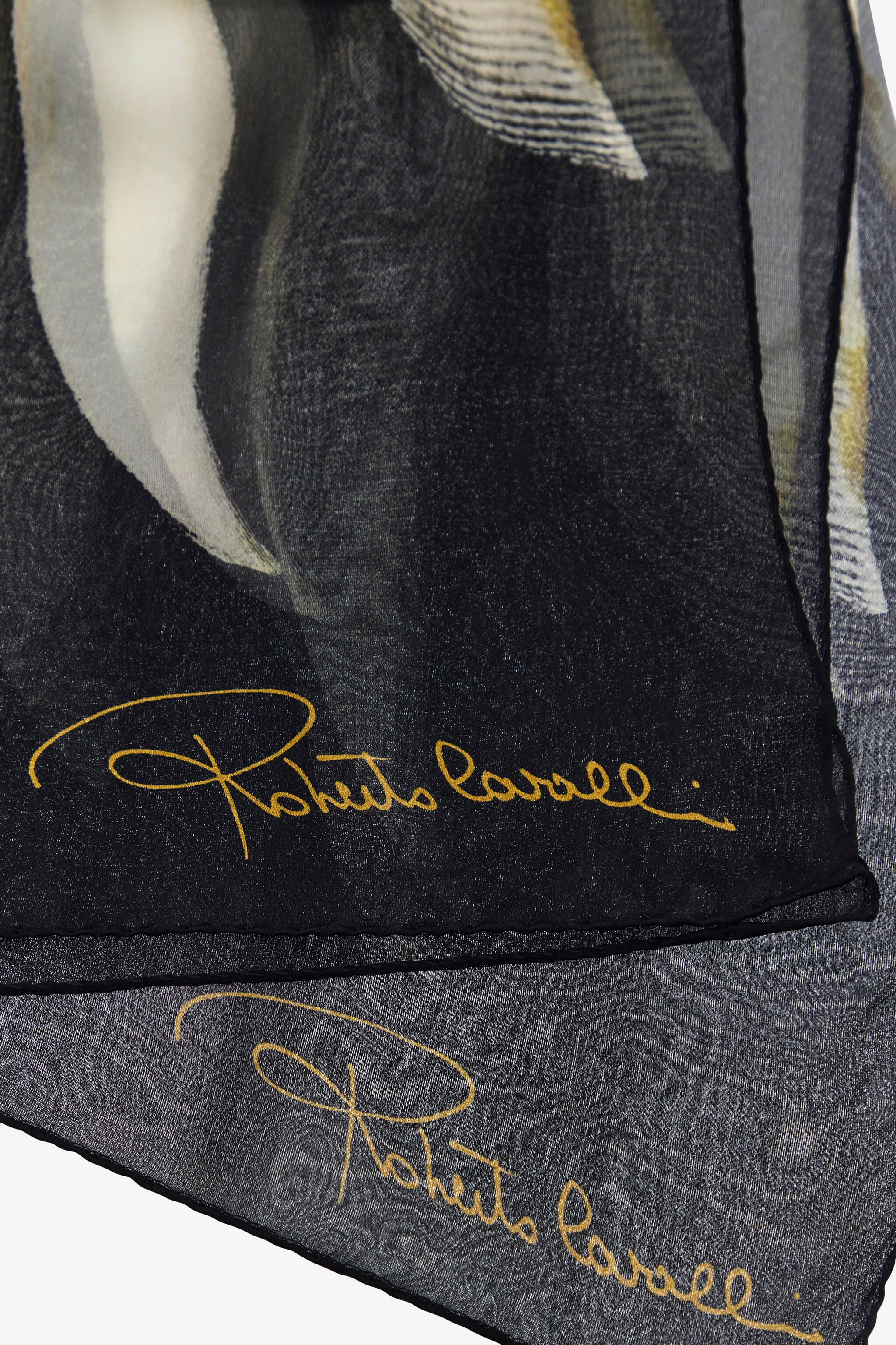 Ray of Gold Print Scarf - 2