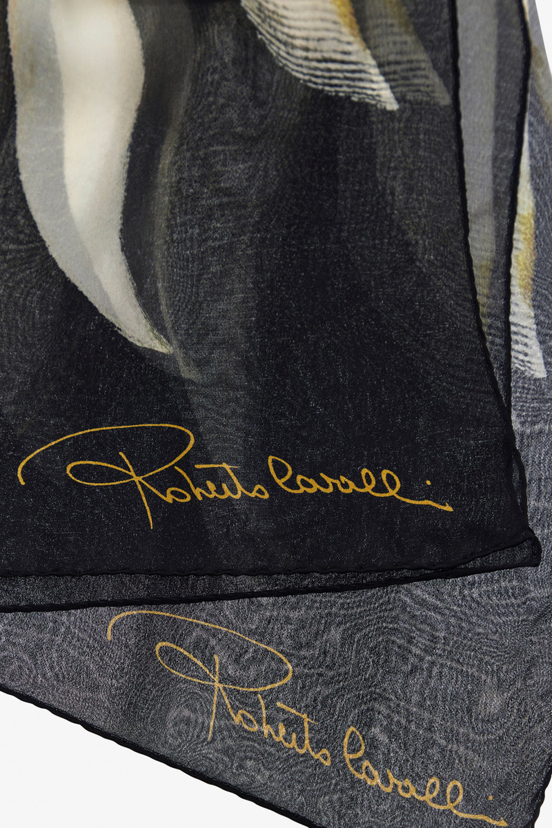 Roberto Cavalli Ray of Gold Print Scarf outlook