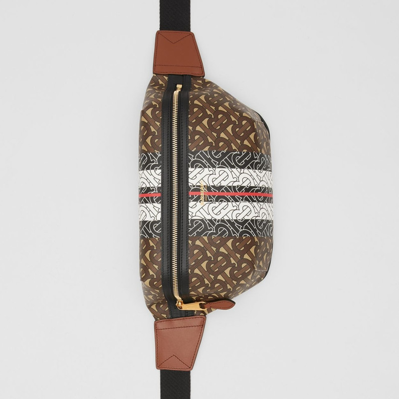 Medium Monogram Stripe E-canvas Bum Bag 5