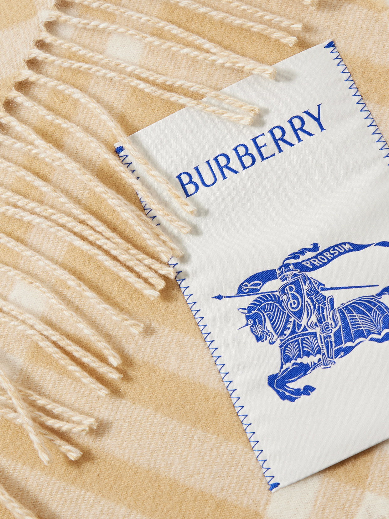 Appliquéd Fringed Checked Cashmere Scarf - 3