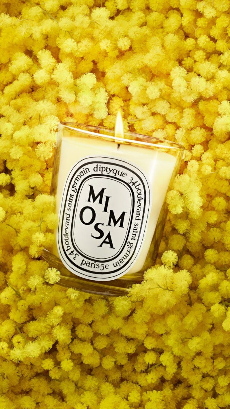 Mimosa - Classic Candle 5