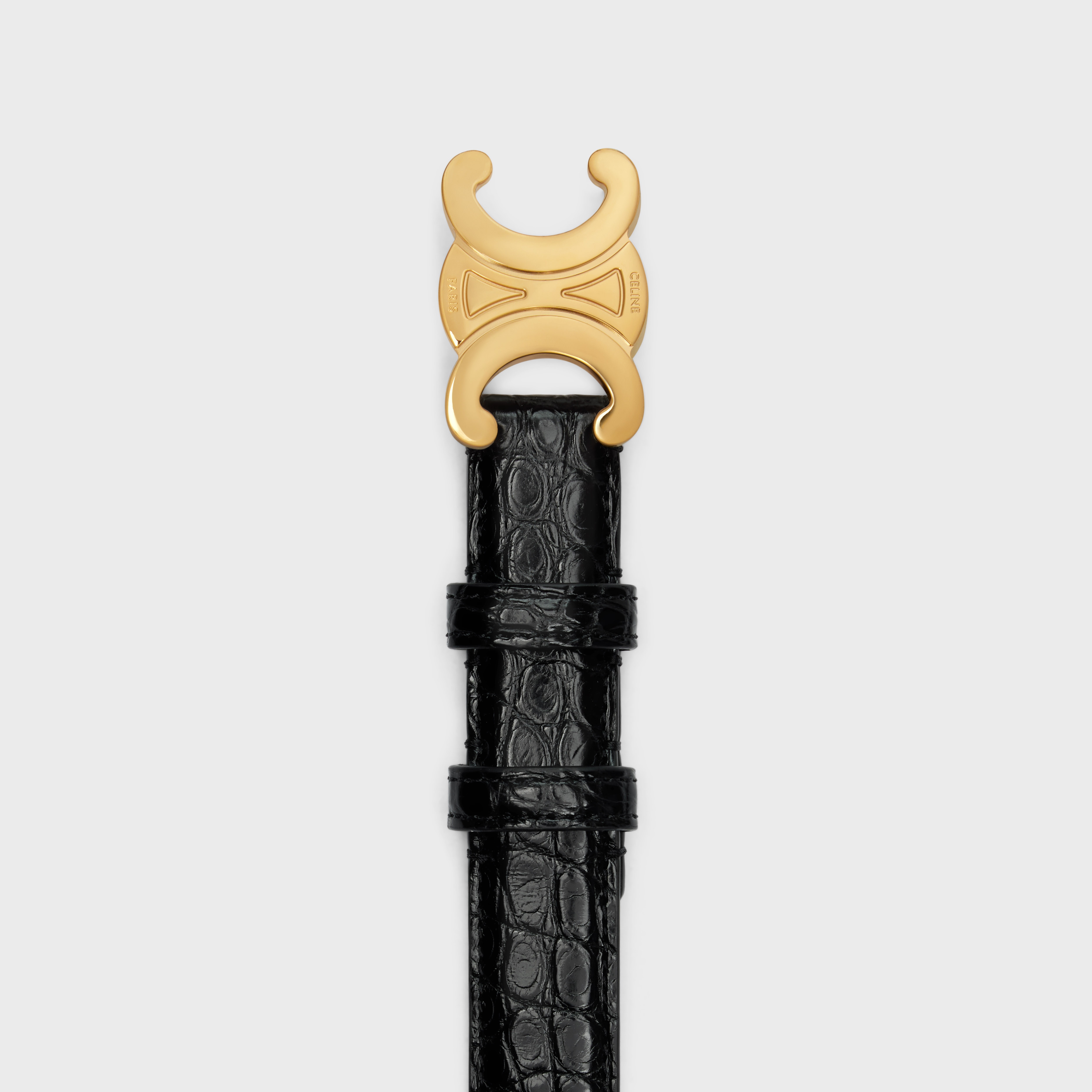 Medium Triomphe Belt in ALLIGATOR - 2