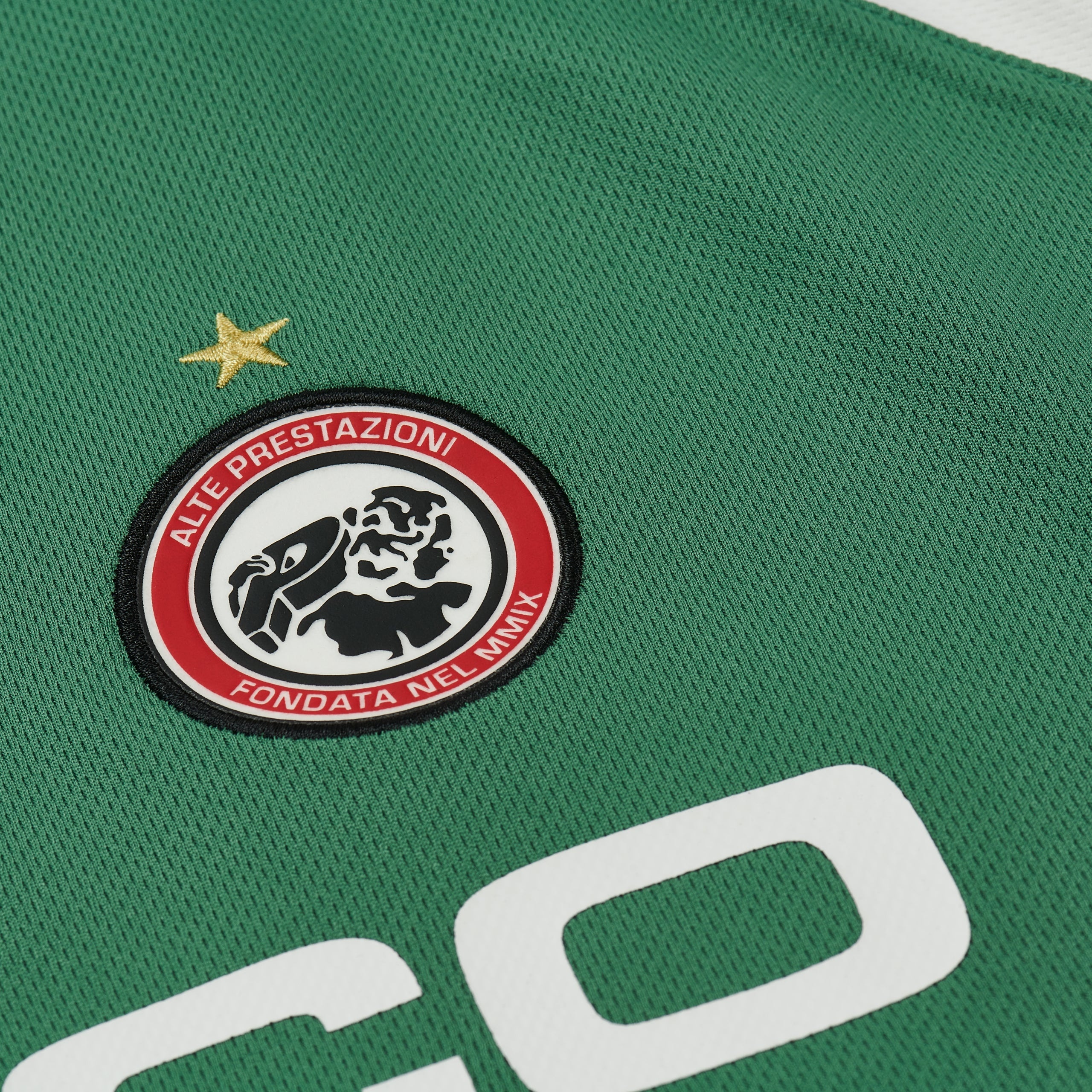 PALACE PRO TEAM PALCO JERSEY GREEN | REVERSIBLE