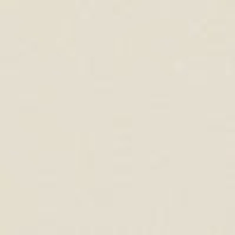 Lana Pump in Patent Leather 4