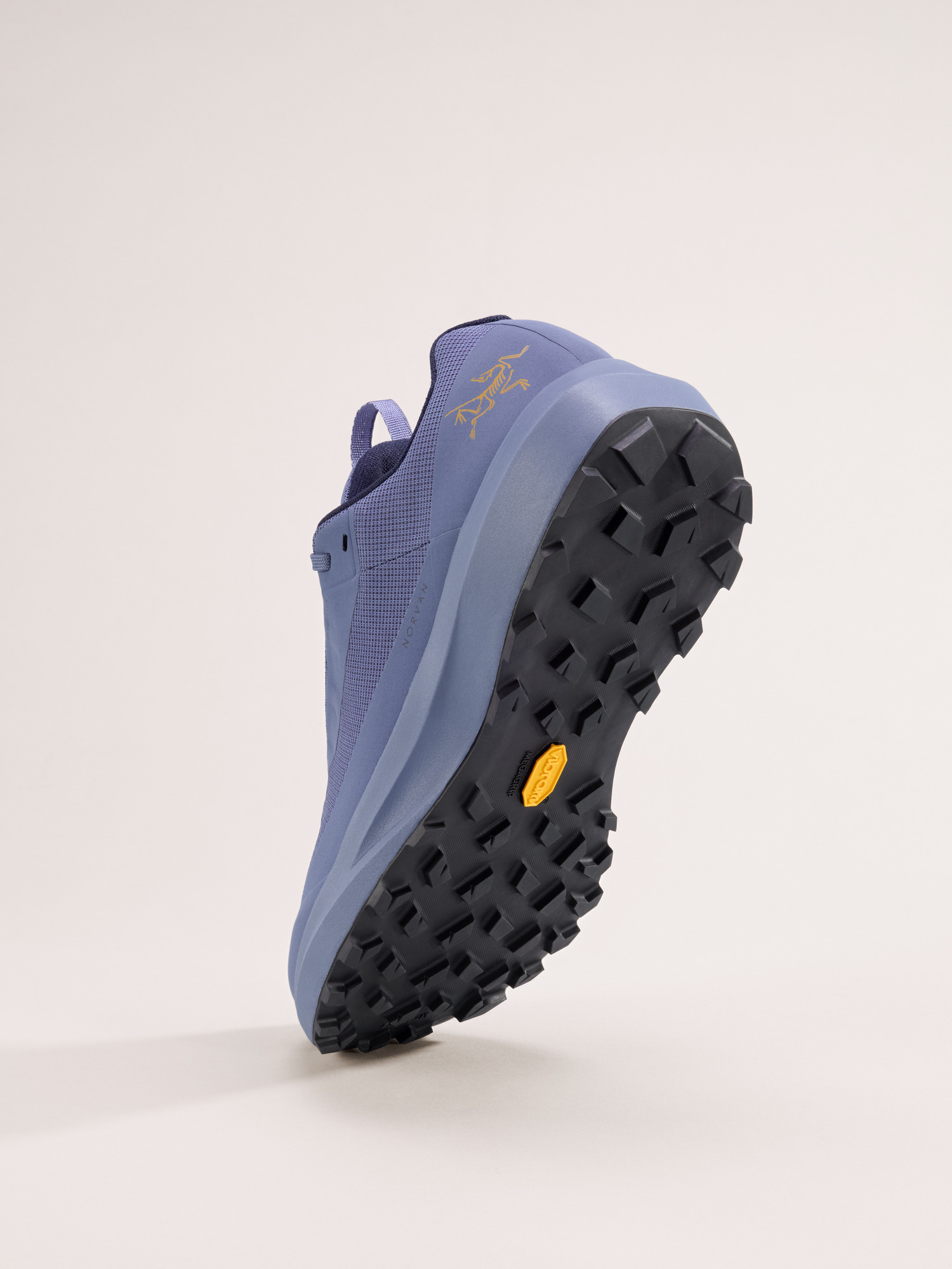 Norvan LD 4 GTX Shoe - 4