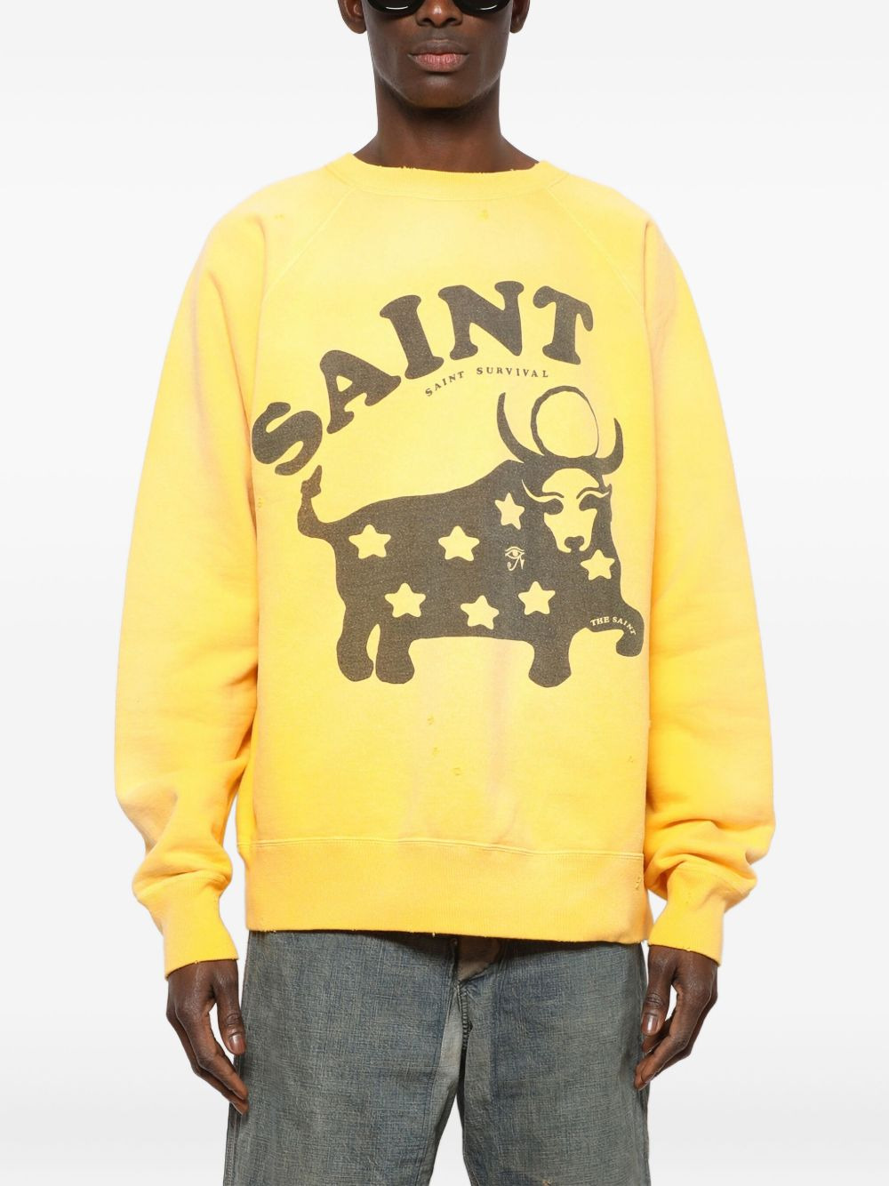 bull star sweatshirt - 3