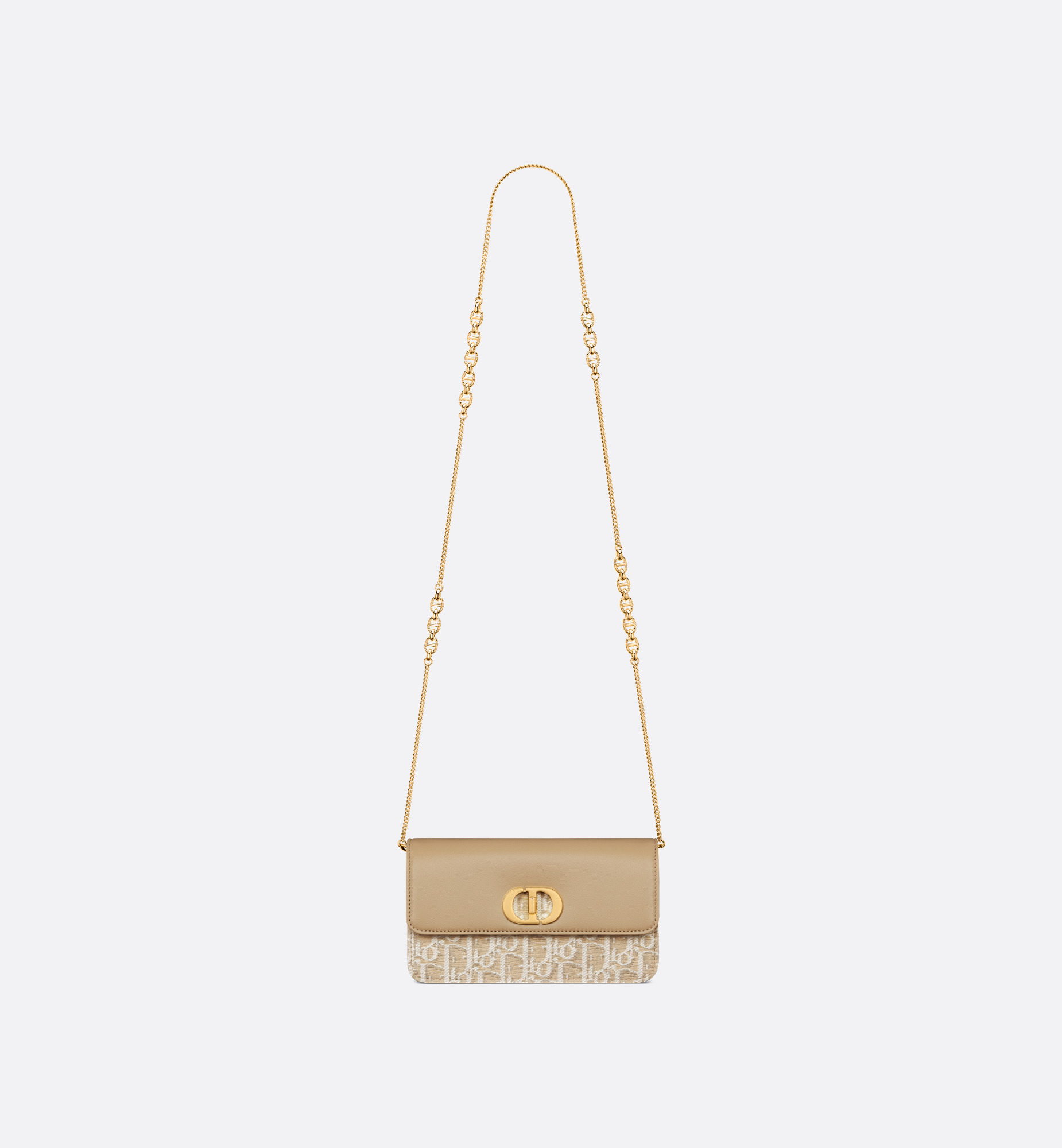 Miss Caro Pouch with Chain - 4