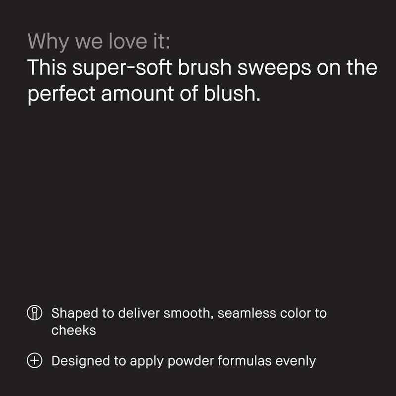 Blush Brush 6