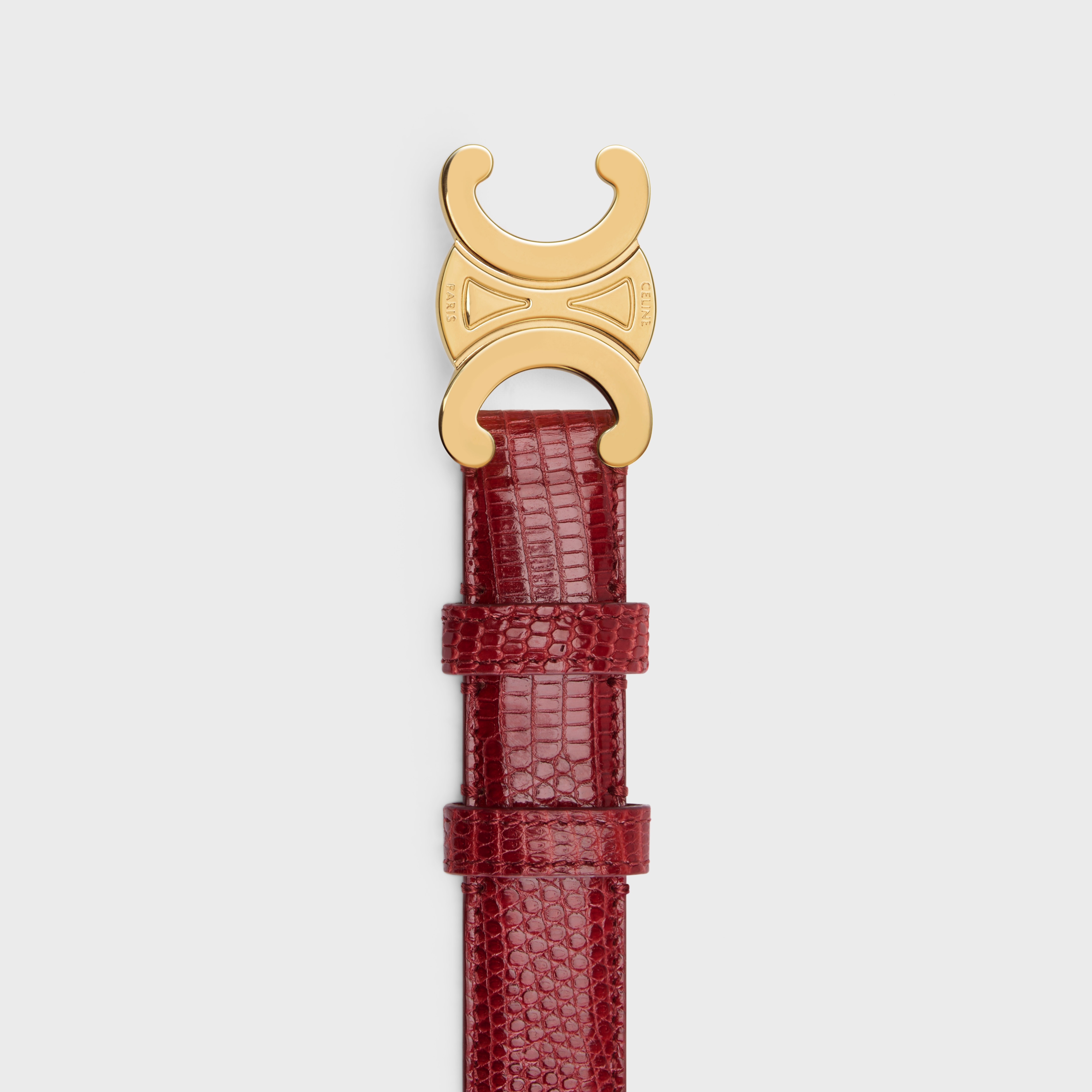 Medium Triomphe Belt in Lizard - 2