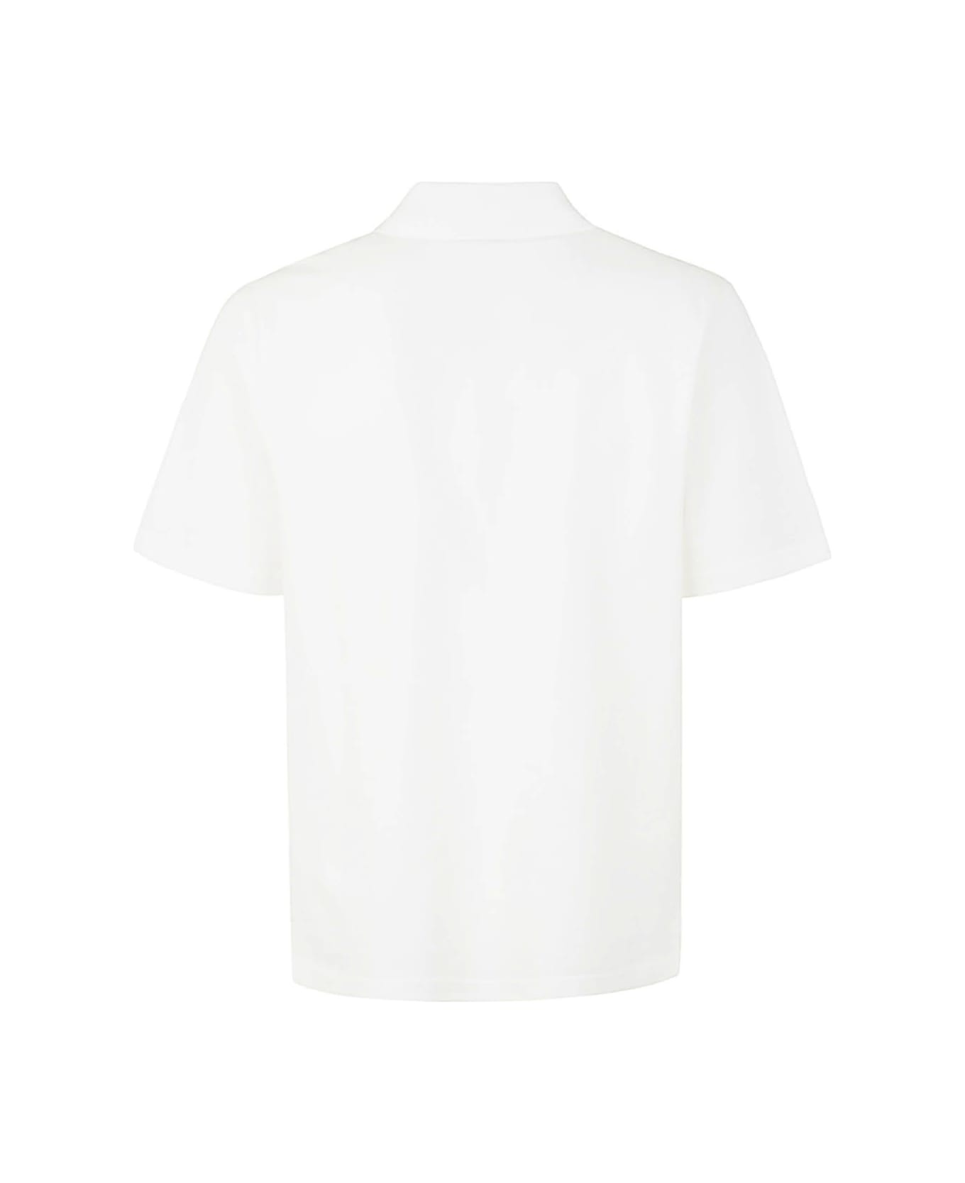 Regular Polo - 2