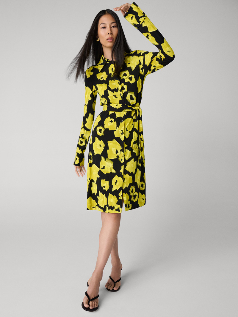 Diane Shirt Dress 4