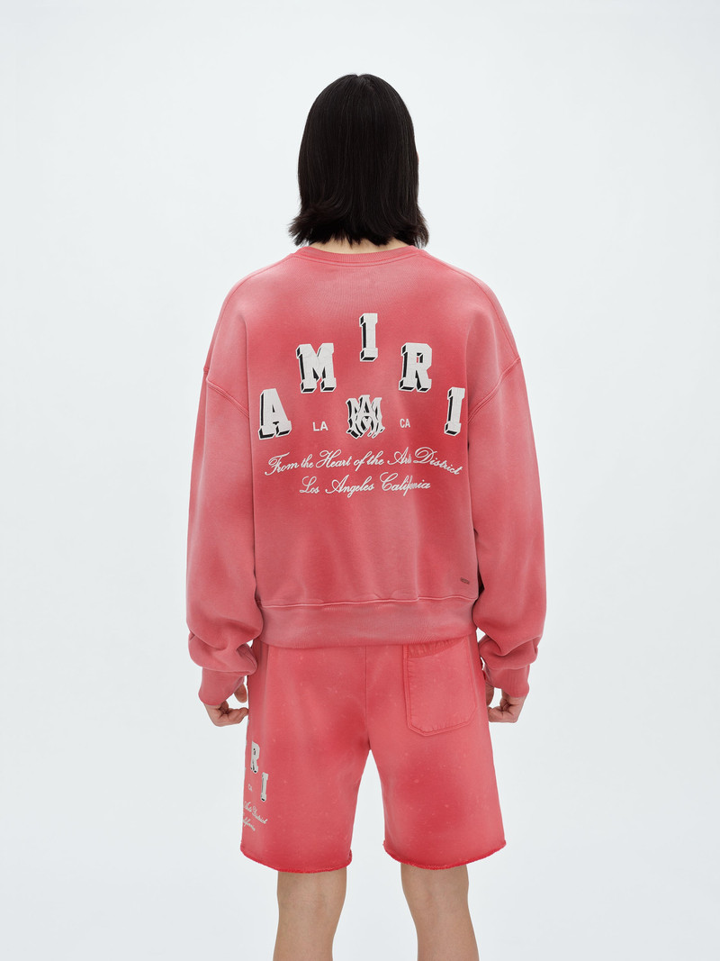 VINTAGE COLLEGIATE CREW 5