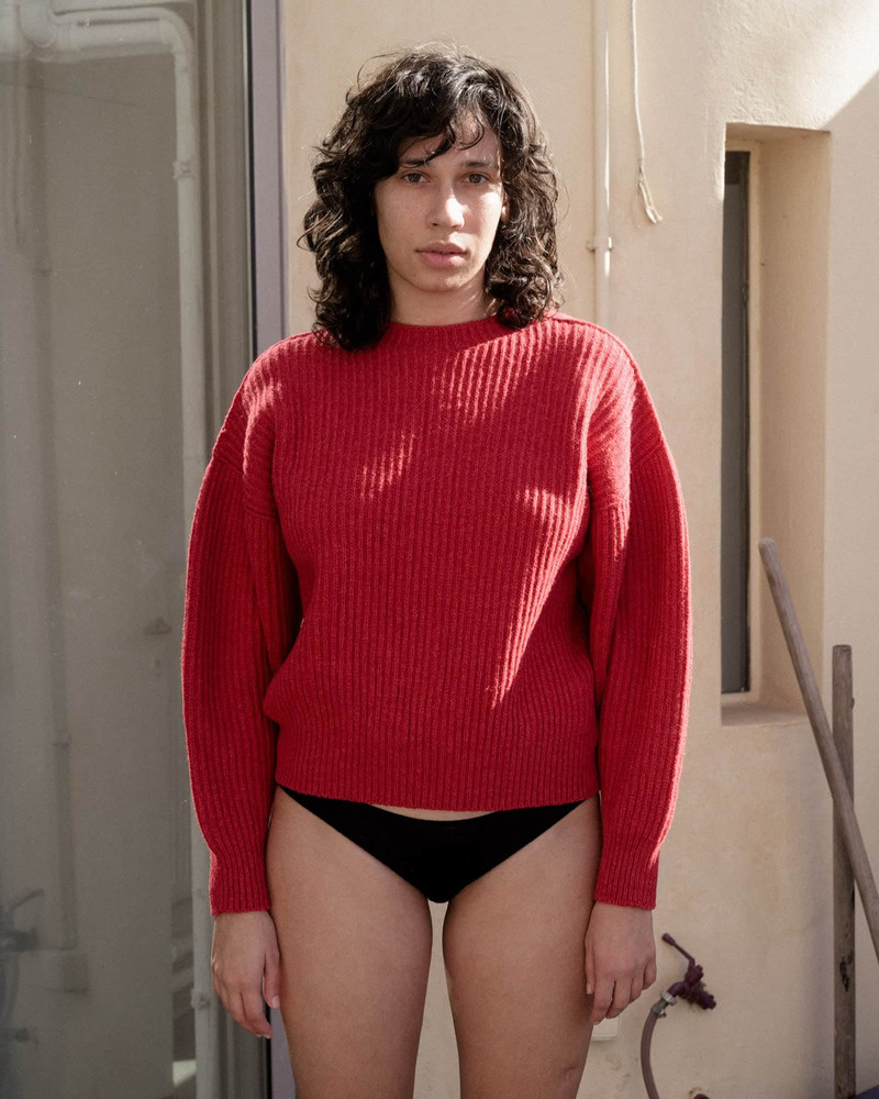 BASERANGE Mea Sweater
                  - Recycled Wool Rib outlook