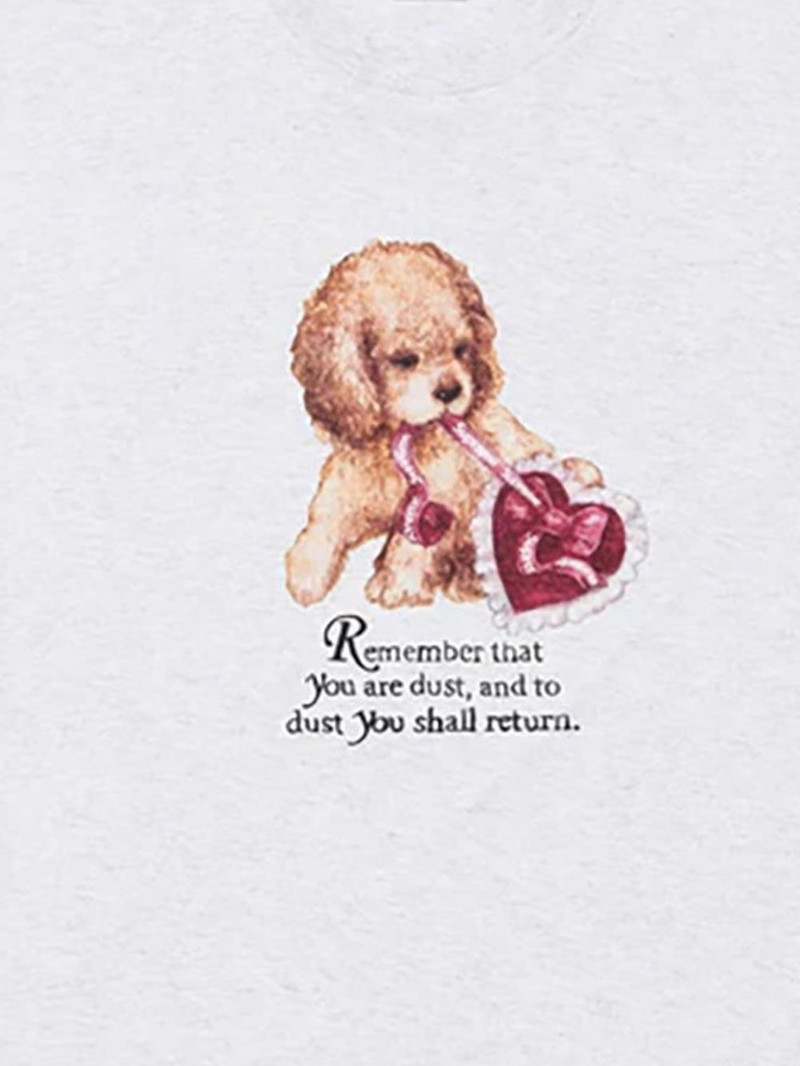 Supreme Dust T-shirt outlook