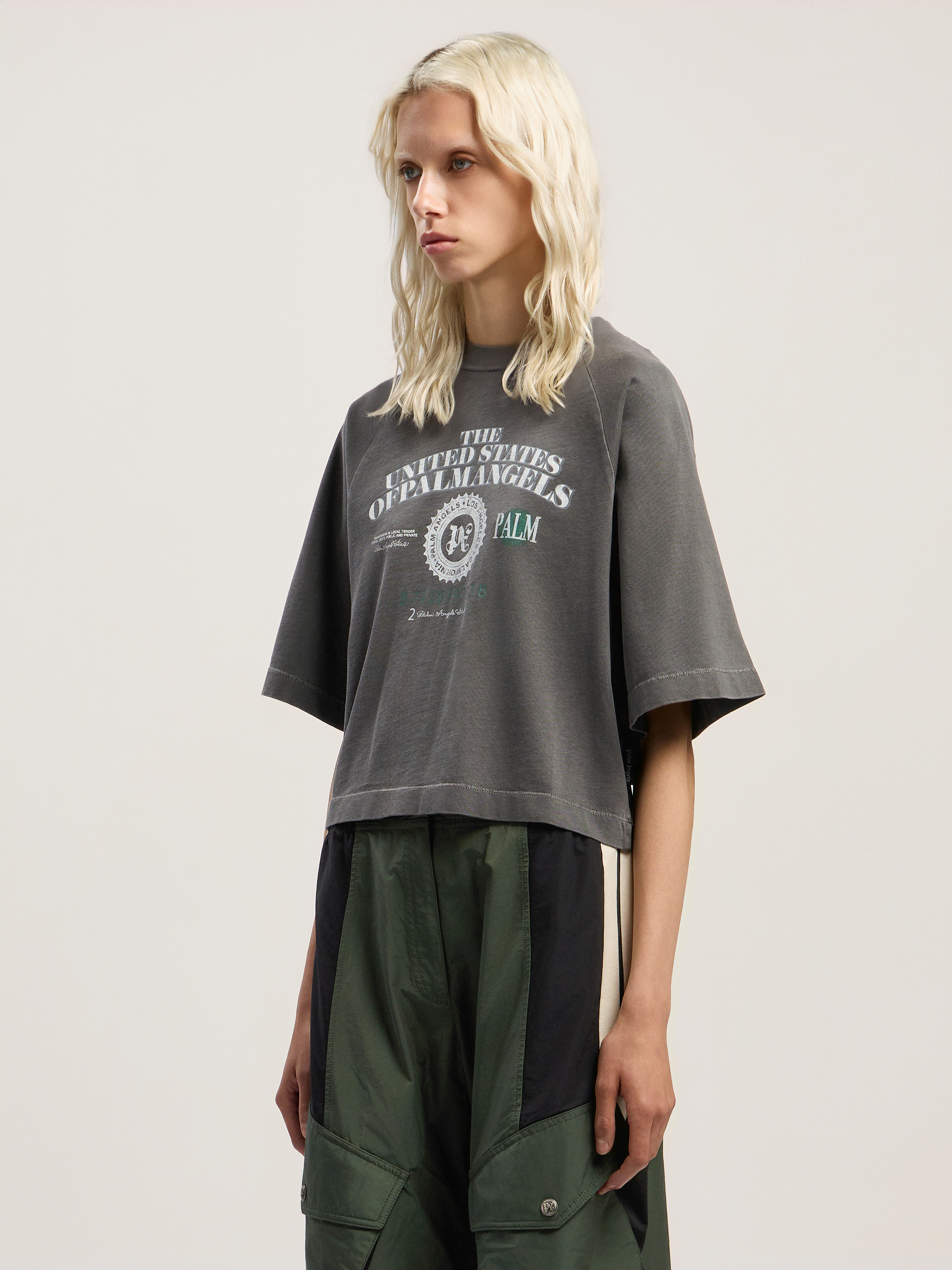 Dollar Cropped Tee - 3