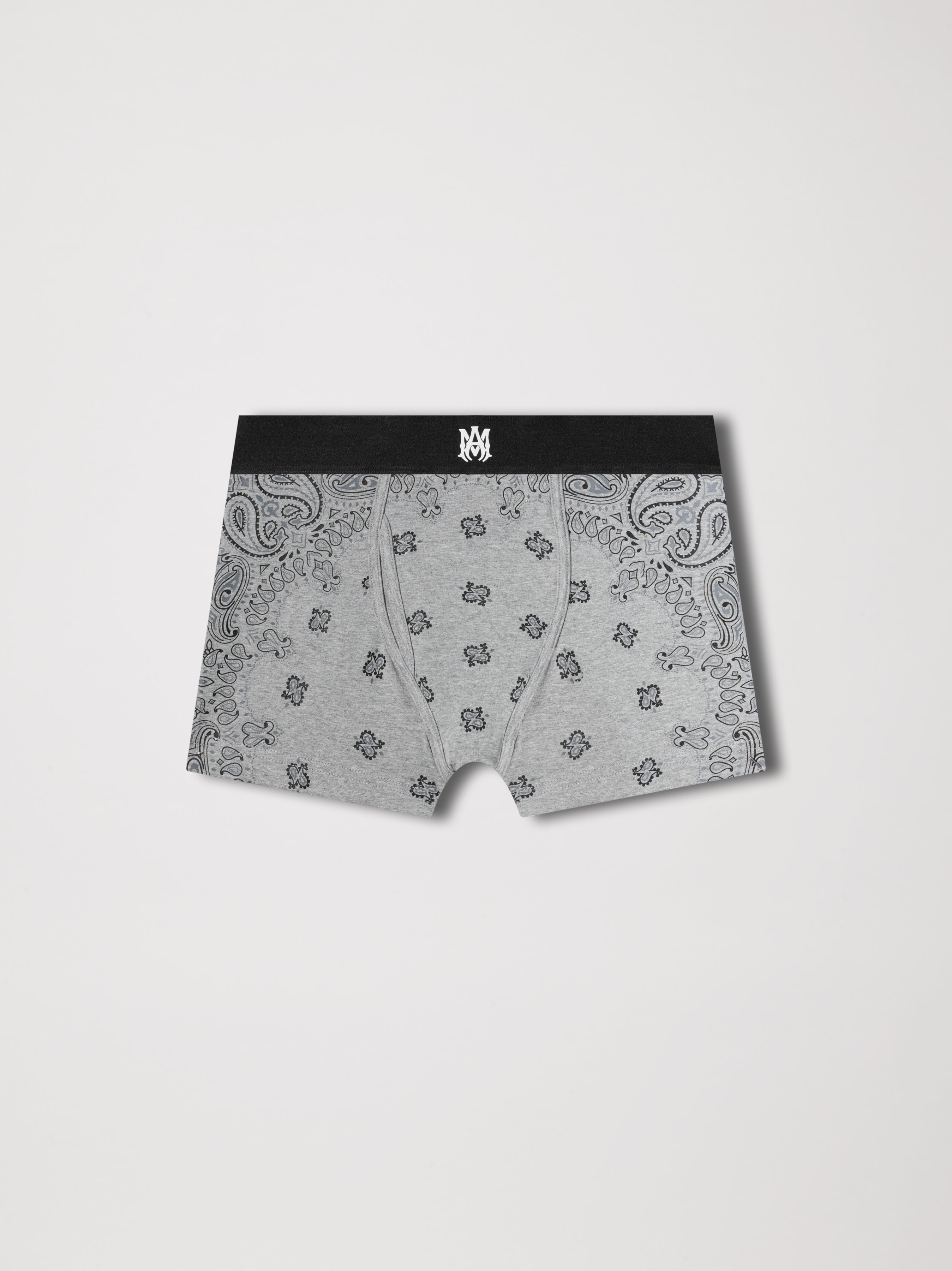 BANDANA BRIEF - 1