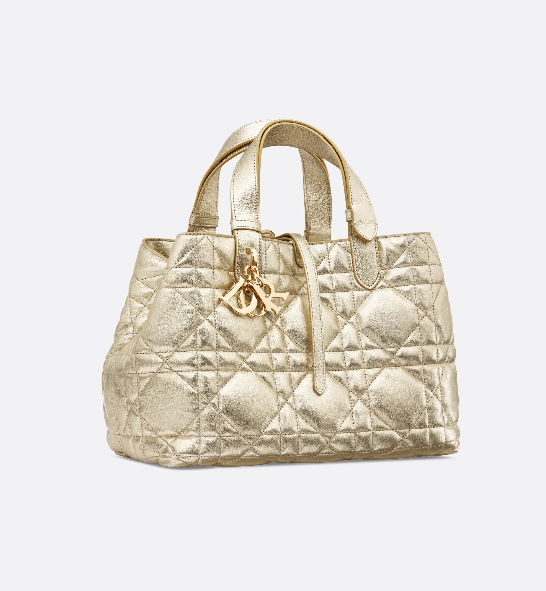 Medium Dior Toujours Bag - 1