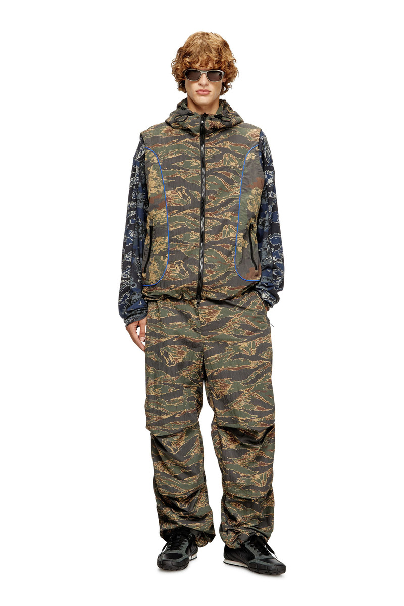 Diesel P-ANIC outlook