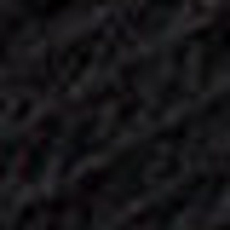 Jordan Wool Socks 4