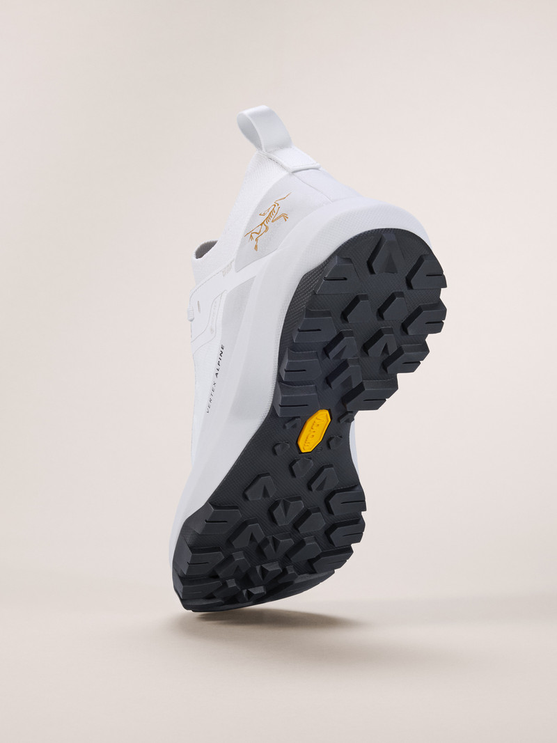 Vertex Alpine GTX Shoe 4