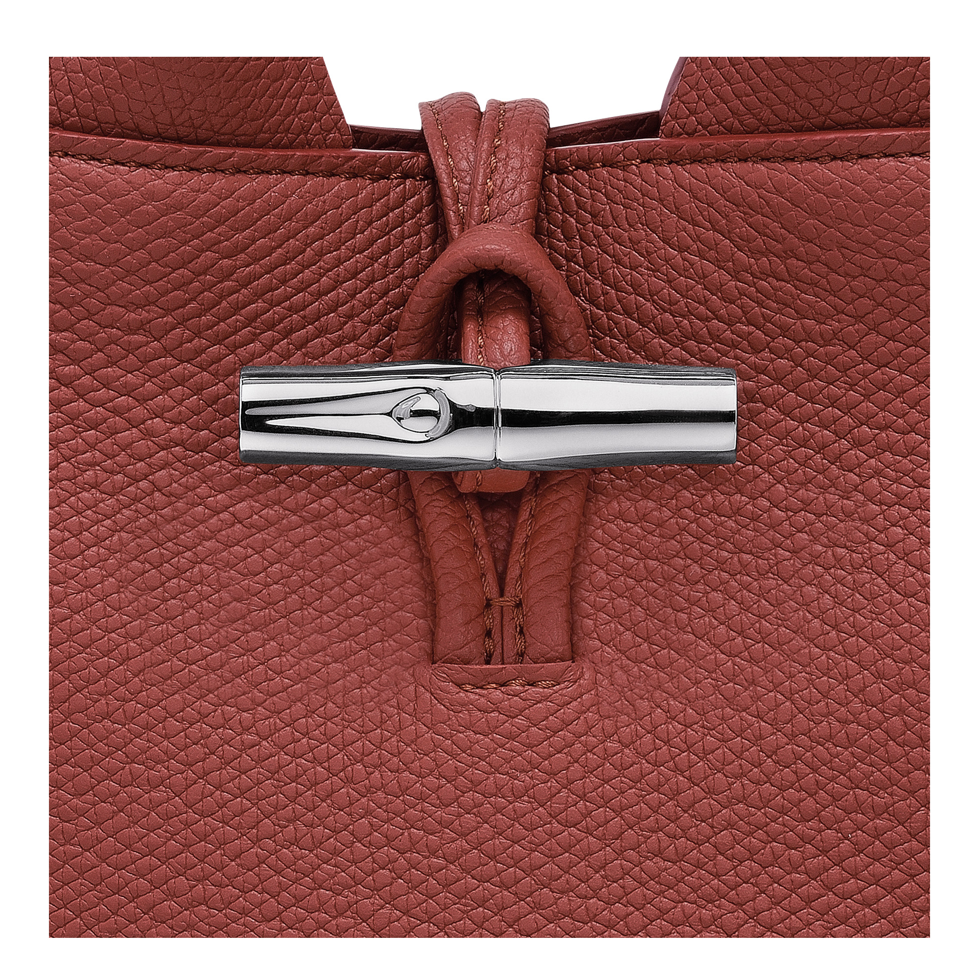 Le Roseau XS Handbag Chestnut - Leather - 7